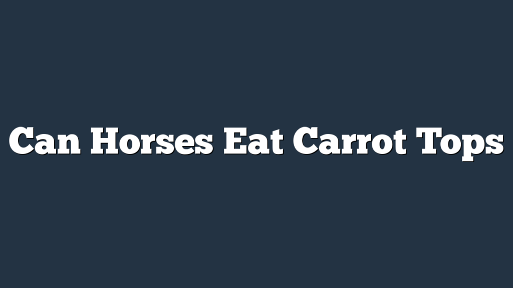 Can Horses Eat Carrot Tops