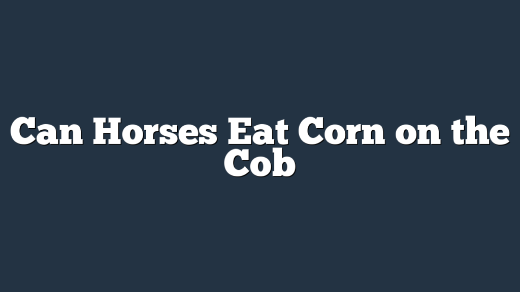 Can Horses Eat Corn on the Cob