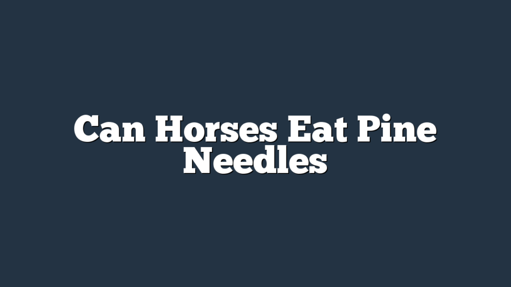 Can Horses Eat Pine Needles
