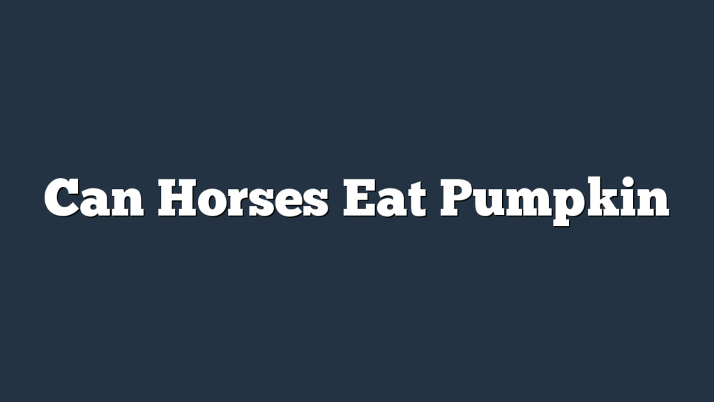 Can Horses Eat Pumpkin