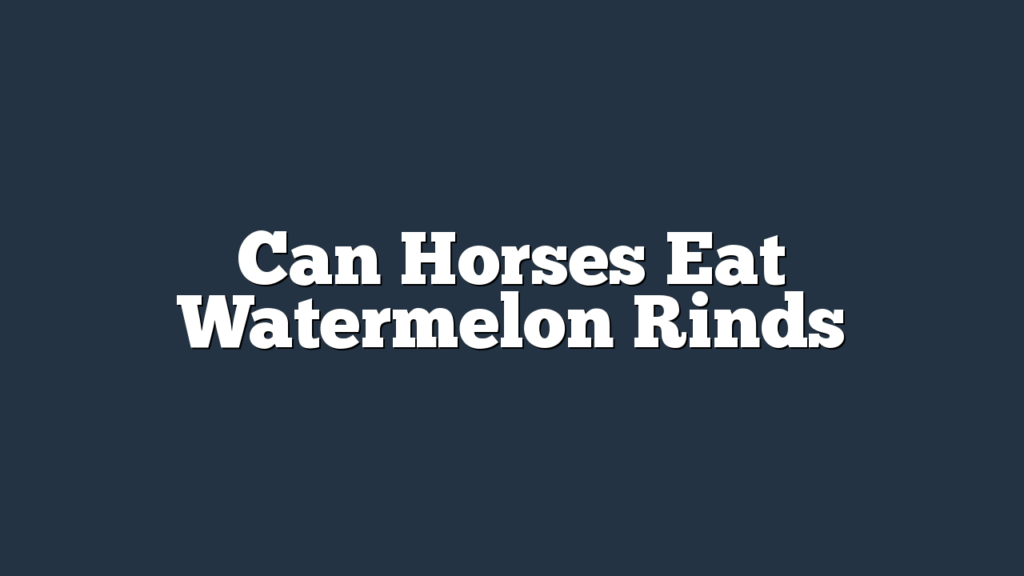 Can Horses Eat Watermelon Rinds