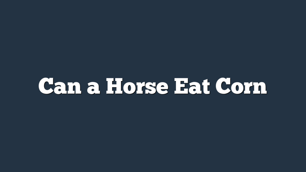Can a Horse Eat Corn