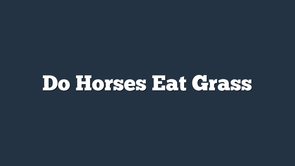 Do Horses Eat Grass