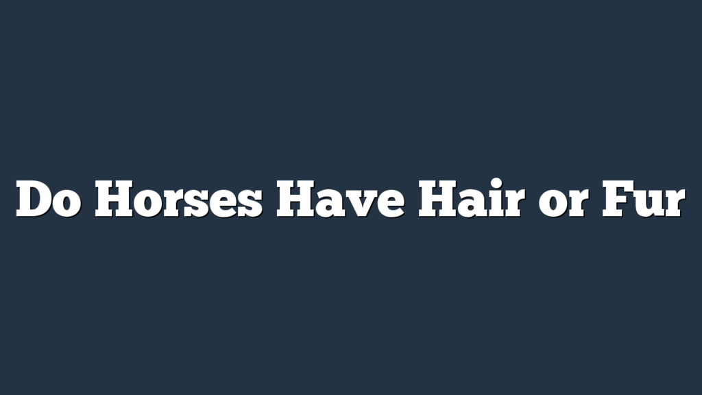 Do Horses Have Hair or Fur