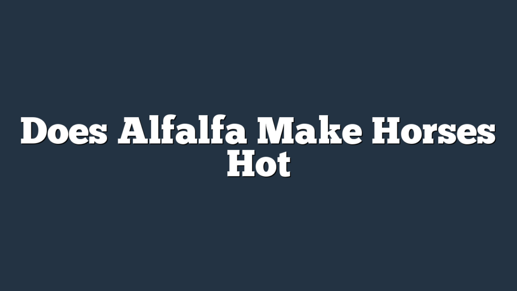 Does Alfalfa Make Horses Hot