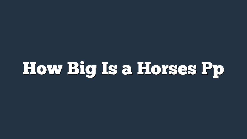 How Big Is a Horses Pp