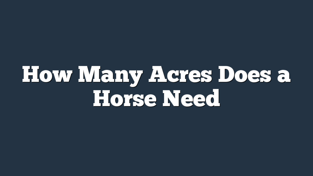 How Many Acres Does a Horse Need