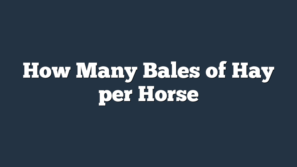 How Many Bales of Hay per Horse