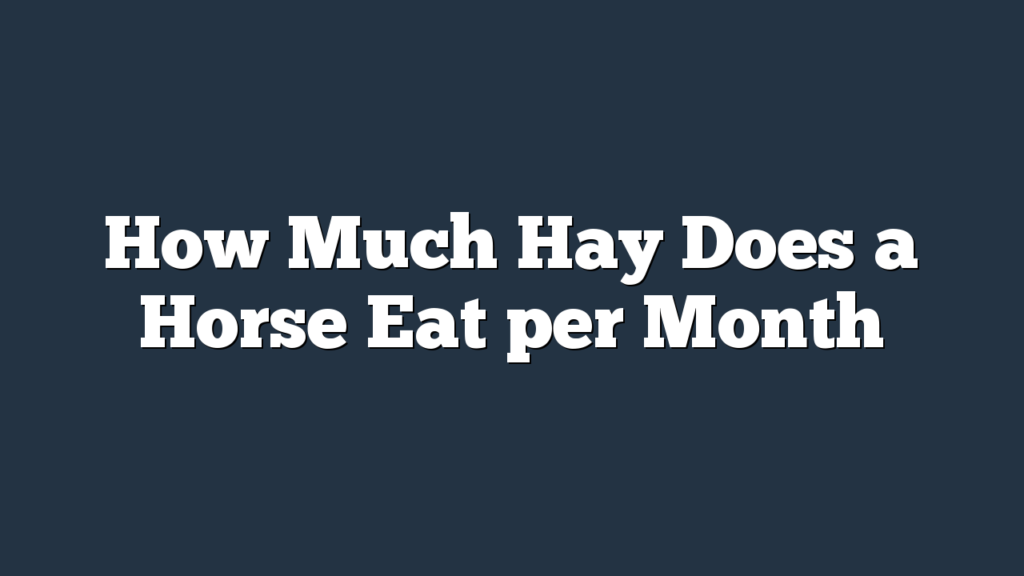 How Much Hay Does a Horse Eat per Month