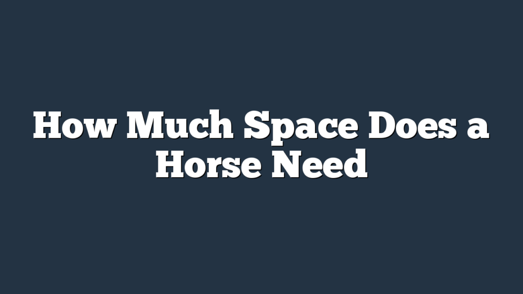 How Much Space Does a Horse Need