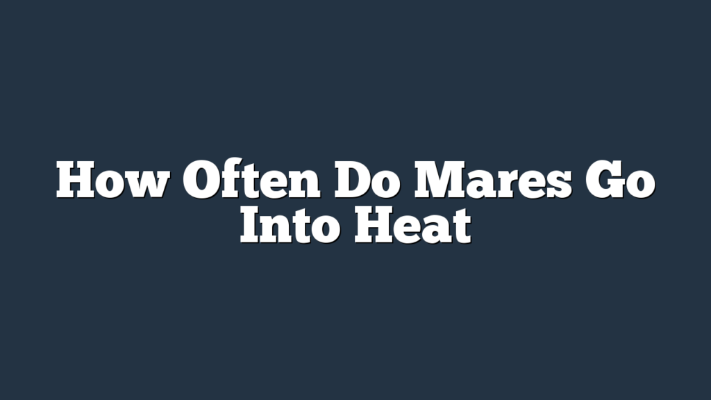 How Often Do Mares Go Into Heat