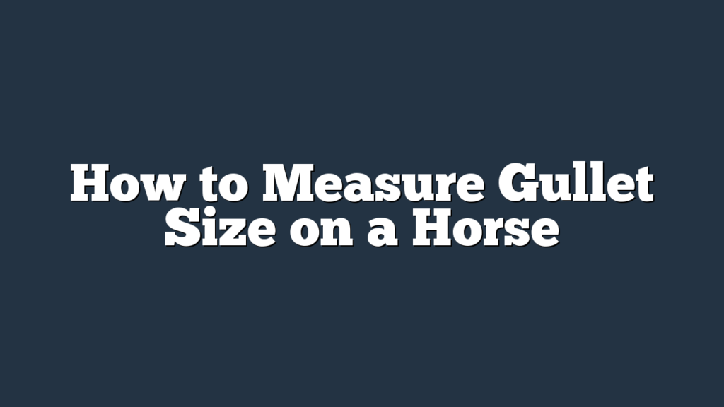 How to Measure Gullet Size on a Horse