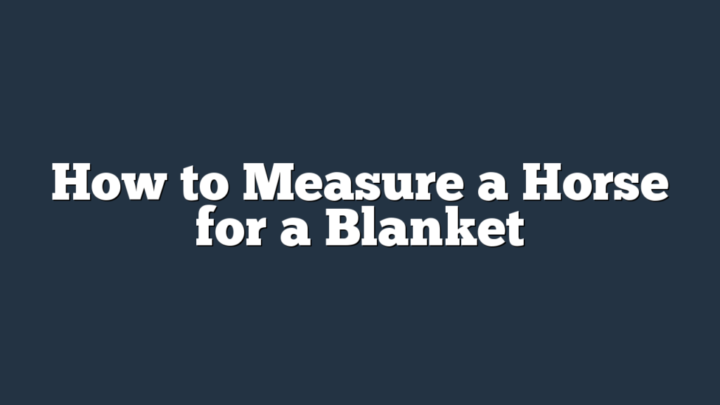 How to Measure a Horse for a Blanket