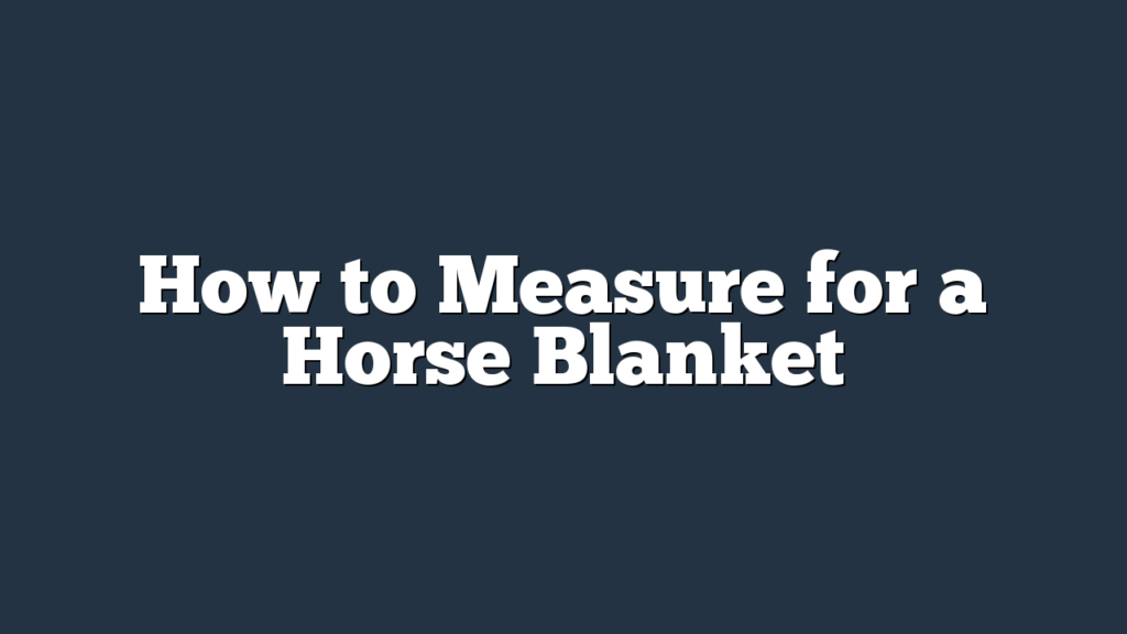 How to Measure for a Horse Blanket