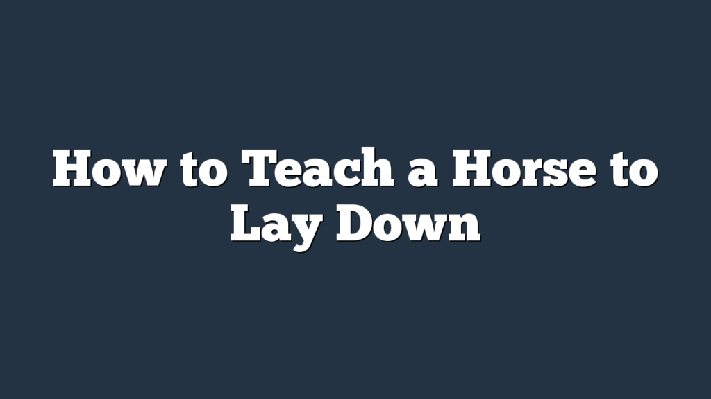 How to Teach a Horse to Lay Down