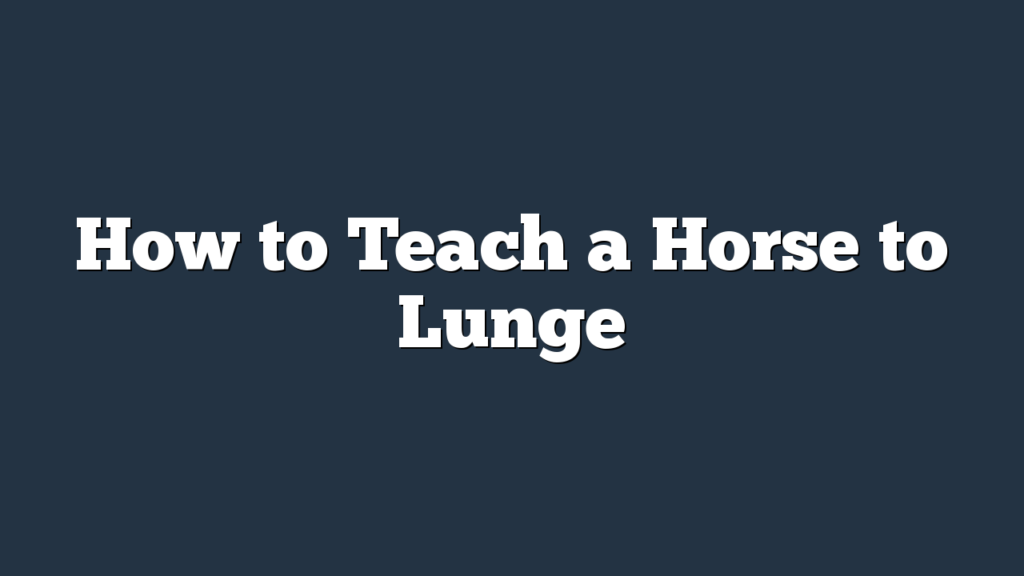 How to Teach a Horse to Lunge