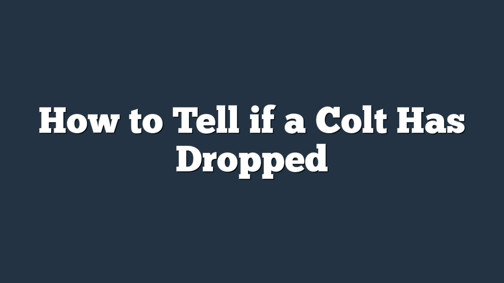 How to Tell if a Colt Has Dropped