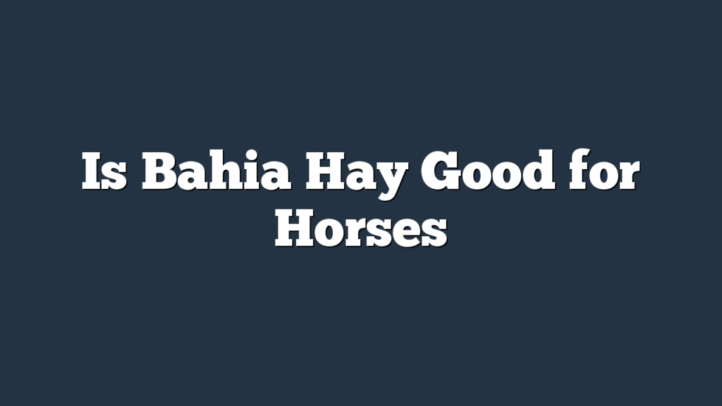 Is Bahia Hay Good for Horses