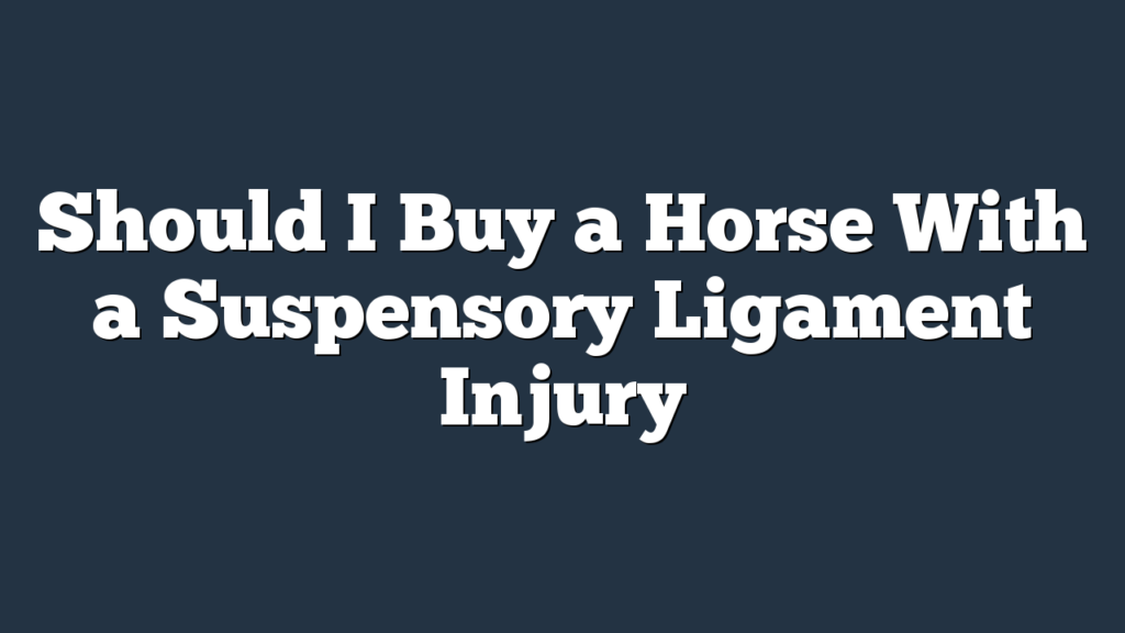 Should I Buy a Horse With a Suspensory Ligament Injury