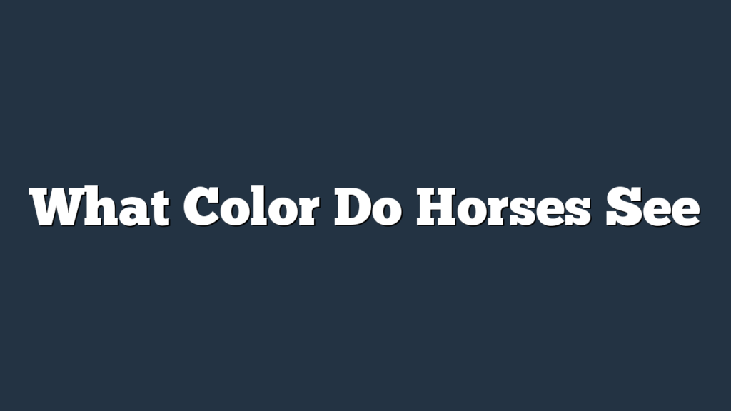 What Color Do Horses See