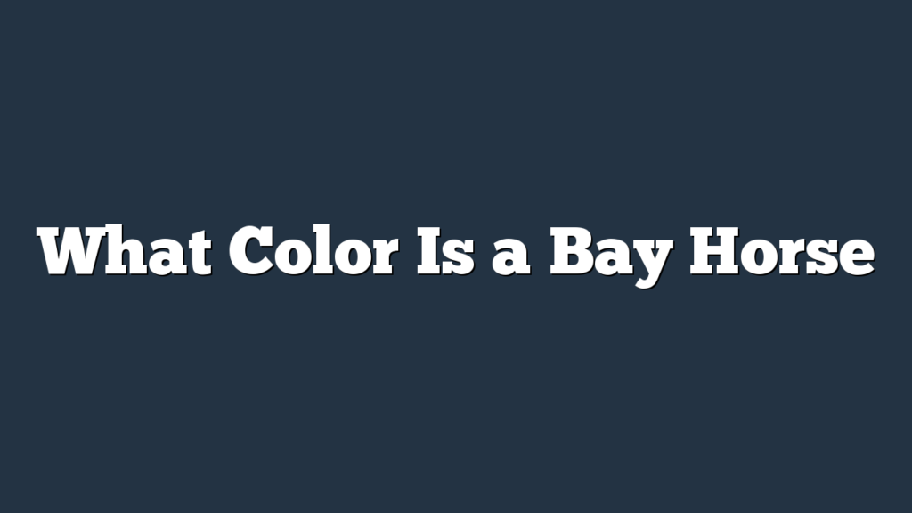 What Color Is a Bay Horse