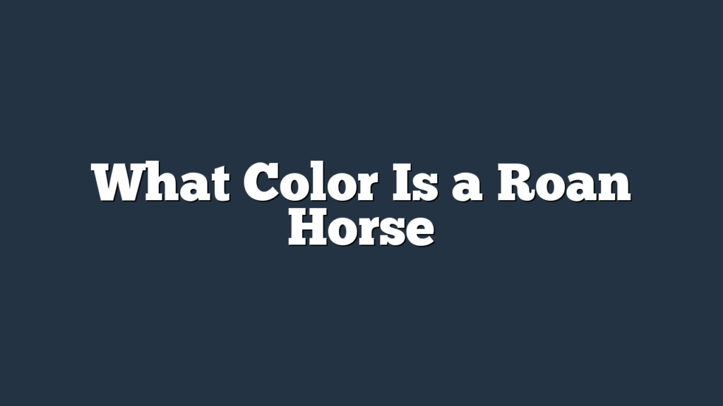 What Color Is a Roan Horse