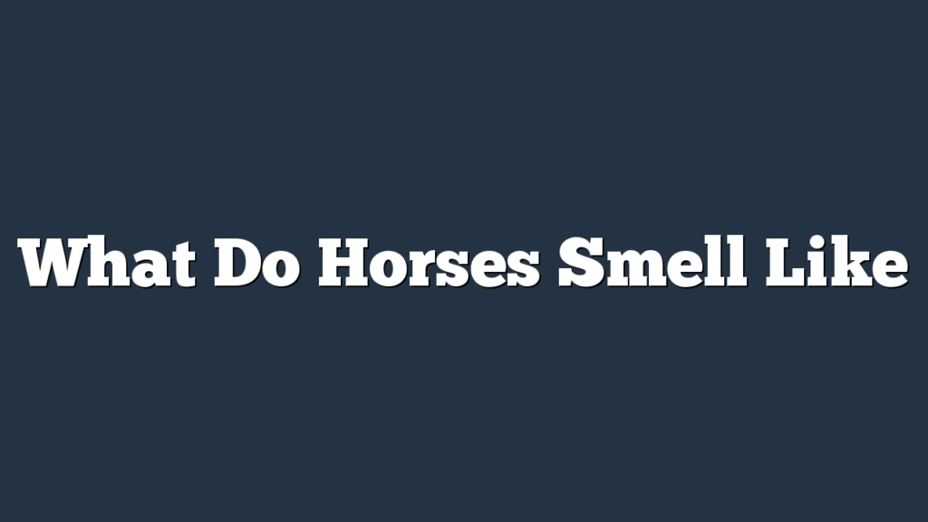 What Do Horses Smell Like