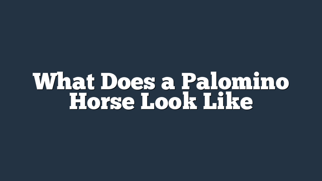 What Does a Palomino Horse Look Like