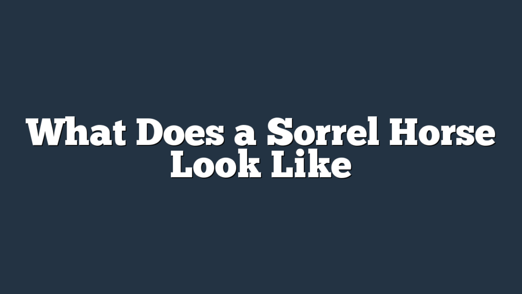 What Does a Sorrel Horse Look Like