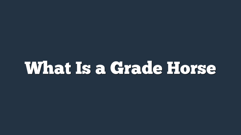 What Is a Grade Horse