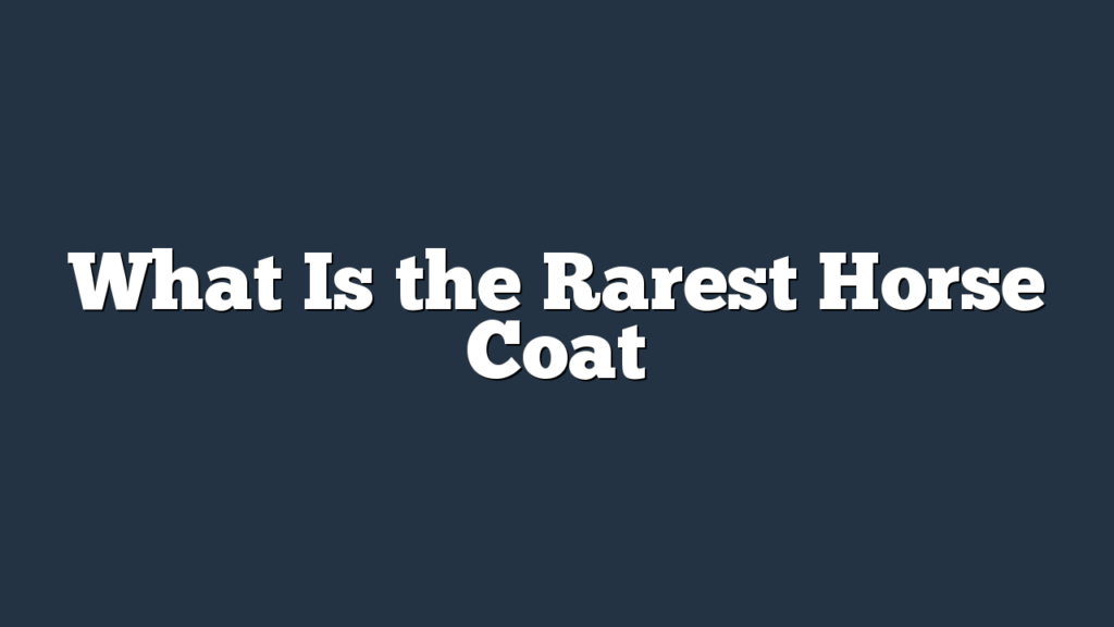 What Is the Rarest Horse Coat
