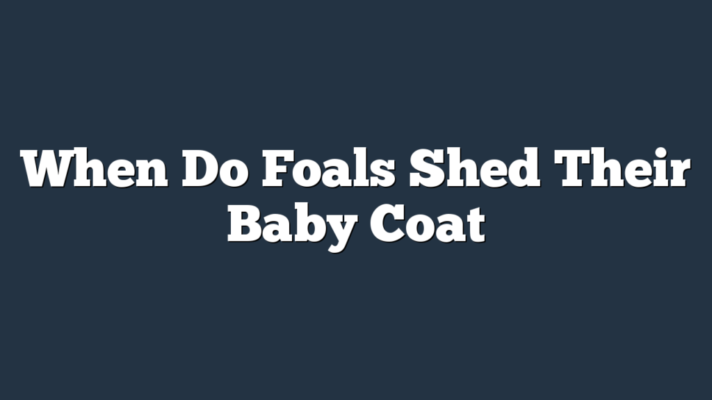 When Do Foals Shed Their Baby Coat