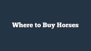 Where to Buy Horses