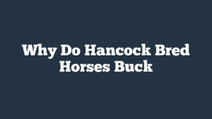 Why Do Hancock Bred Horses Buck